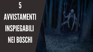 5 AVVISTAMENTI INSPIEGABILI NEI BOSCHI INQUIETO [upl. by Syned]