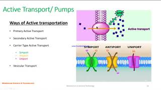 Transport Across Membrane Part 2 [upl. by Sherj]