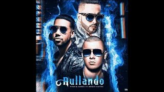 Wisin Y Yandel Ft Romeo Santos  Aullando Dj Salva Garcia amp Dj Alex Melero 2019 Edit [upl. by Lenahtan705]