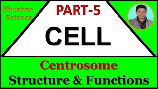 Part 5  Cellular Level of Organization  Centrosome  B Pharm  Nursing  GPAT  Medical [upl. by Garbe]