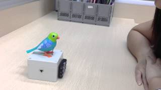 Educational Toy  Digital Birds using Sonix IC low cost [upl. by Denoting7]