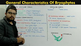 Bryophytes Plants Introduction Chapter Diversity Among Plants [upl. by Muhan]