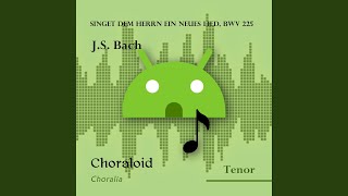 Singet dem Herrn ein neues Lied BWV 225 Singet dem Herrn ein neues Lied chorus I [upl. by Tortosa548]