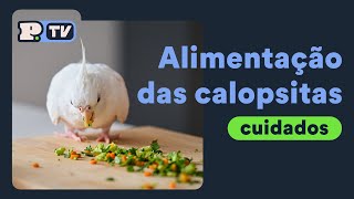 Alimentação das calopsitas [upl. by Tiraj]