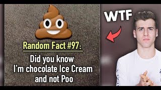 Super Random Facts You Dont Need To Know [upl. by Nairb101]