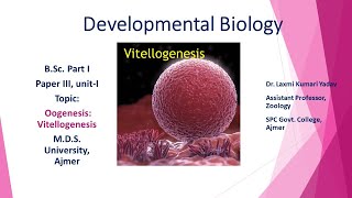 Vitellogenesis BSC PART I PAPER III BY DR LAXMI KUMARI YADAV [upl. by Bette-Ann]