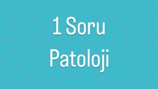 Patoloji Demiyelinizan Hastalıklar Soru Çözümü [upl. by Murton]