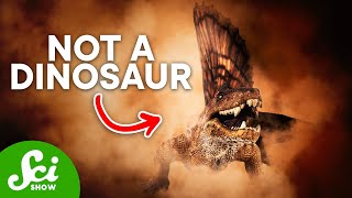 5 Famous Dinosaurs That Arent Actually Dinosaurs [upl. by Ymrots289]