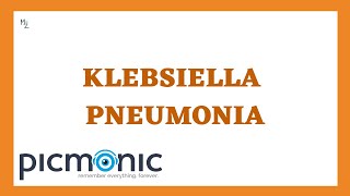 What is Klebsiella pneumoniae Symptoms of pneumonia and UTI caused by K pneumoniae [upl. by Borries]