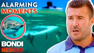 Top 5 Alarming Moments on Bondi Rescue  Season 12 [upl. by Sioux]