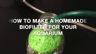 How to Make a Homemade Biofilter For Your Aquarium [upl. by Kalvin]