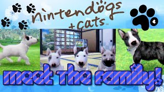 Nintendogs  Cats Meet the whole Bull terrier FAM [upl. by Ynnatirb]