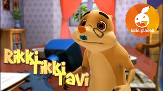 RIKKI TIKKI TAVI Episode 3  cartoons for kids  stories for children  Jungle book by R Kipling [upl. by Almeda]