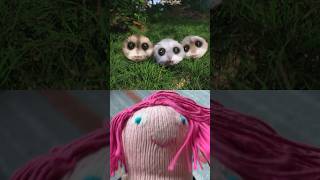 funny hamster videos with funny dance gigglesdoll hamsters forpet [upl. by Florri]