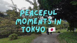 mooching around Tokyo  testing DJI Osmo Pocket 3 [upl. by Leda77]