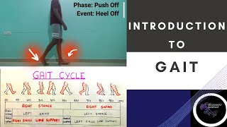 INTRODUCTION TO GAIT BIOMECHANICS Gait BiomechanicsPhysiotherapy Tutorial [upl. by Wells945]