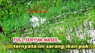 EDAN ‼️ SAMBARAN SEPERTI INILAH YANG DI CARI PARA PEMANCING  MANCING IKAN GABUS BESAR DI RAWA RIAU [upl. by Ihn52]