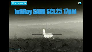 InfiRay SAIM SCL25 17μm  dančí  fallow deer  80120m [upl. by Alial]