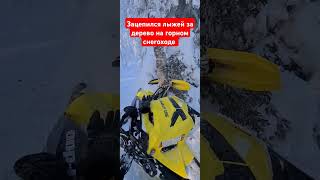 Врезался в дерево на снегоходе BRP SkiDoo Summit T3 [upl. by Rusel432]