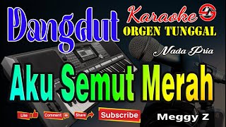 Aku Semut Merah  Karaoke Nada Pria Meggy Z  Dangdut Orgen Tunggal [upl. by Geneva456]