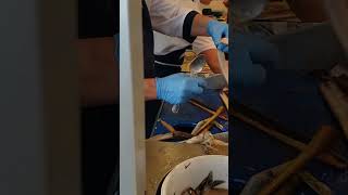 Herring skinning in VolendamNetherlands [upl. by Jemmie815]