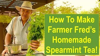 How To Make Farmer Freds HOMEMADE Spearmint Tea [upl. by Staffard]