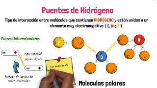 Puentes de Hidrógeno [upl. by Leeban]