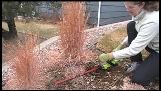 The BEST Way to Prune Ornamental Grasses [upl. by Hukill]