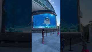 TUBARÃO Porto de Nassau Bahamas 3d virtualreality jaws [upl. by Koch]