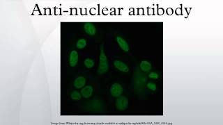 Antinuclear antibody [upl. by Lleumas615]