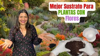 Aprende hacer sustrato de la mejor calidad con nutrientes plantas [upl. by Ram]