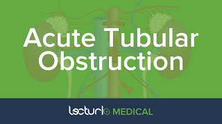 Acute Tubular Obstruction  AKI  Nephrology [upl. by Mihcaoj]