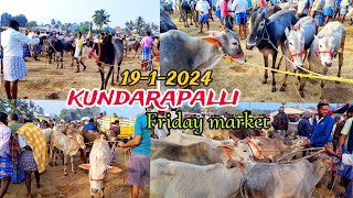 1912024 kundarapalli Friday market  valarpu kanru  price details  Krishnagiri [upl. by Bijan235]