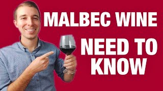 MALBEC RED WINE For Beginners [upl. by Berger457]