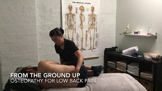 Osteopathy for Low Back Pain [upl. by Navert]