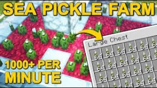 How to make a sea pickle farm on the donut SMP 70000 sea pickles an hour [upl. by Ina460]