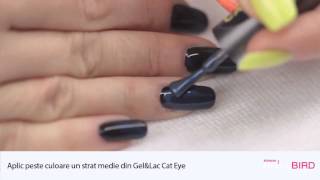 Tutorial Cat Eye GelampLac  Oja semipermanenta  BrillBird [upl. by Yehudi506]