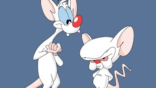 Pinky and the Brain Intro [upl. by Maddalena]