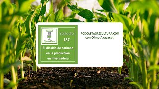 187 El dióxido de carbono en la producción en invernadero [upl. by Ahsinotna]