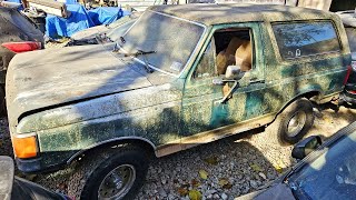 Junkyard 1987 Bronco For 800 ScrapParts or Will It Run and Drive NNKH [upl. by Nnahs881]