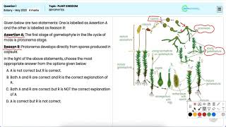 Detailed Analysis NEET Botany 2023  Question1  Bryophytes The NonVascular Plants [upl. by Airam]