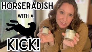 How to make HOT horseradish  Grandmas Homemade Horseradish Recipe [upl. by Ayerdna388]