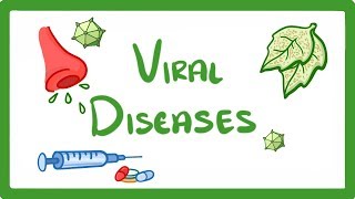 GCSE Biology  What Is a Virus  Examples of Viral Disease HIV Measles amp TMV 36 [upl. by Llehsor]