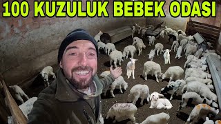 100 KUZULUK BEBEK ODASIİLK YEMKUZU BAKIMI MERAYA CIKIYORUZ [upl. by Leavy]