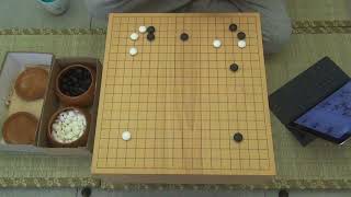 【特別企劃】Alphago Zero 有多強【第一集】2天就超越人類 40天讓5子 那87天就 [upl. by Weisburgh445]