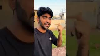 foryou allbirds subscribe allaboutbirds love viralvideo shortvideo shorts [upl. by Nirro]