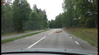 Turbo Dashcam 18  Morons on bicycles and more in Stockholm [upl. by Morgen]