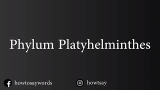 How To Pronounce Phylum Platyhelminthes [upl. by Lillith]