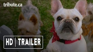 Dog Days  Trailer [upl. by Neerhtak504]