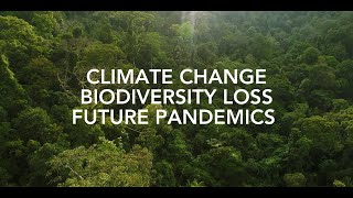 Naturebased Solutions to Climate Biodiversity and Pandemic Threats [upl. by Regazzi]